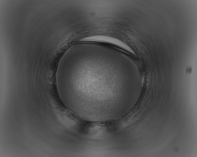 X0000091540750200708241733