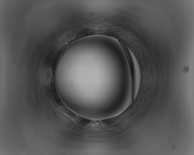 X0000091540752200708241733