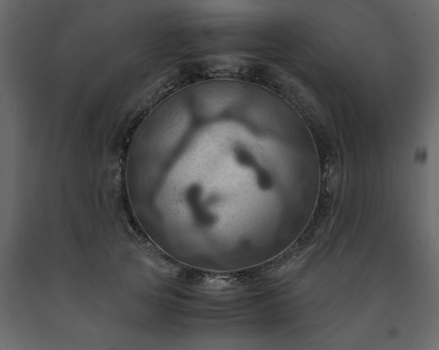 X0000091540753200708241733