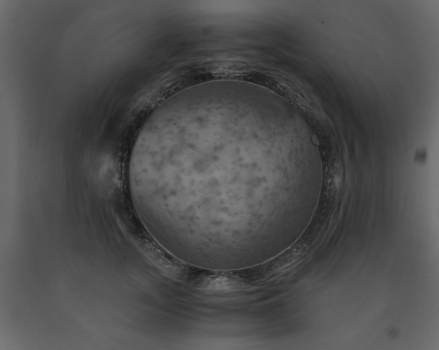 X0000091540755200708241733