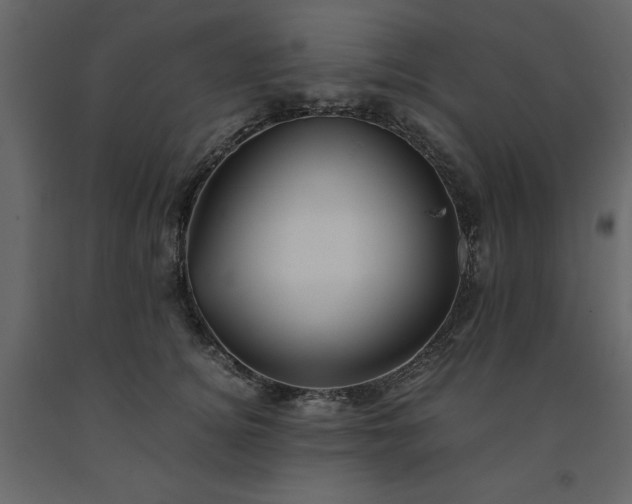 X0000091540756200708241733