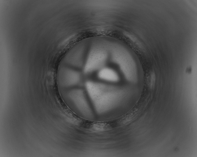 X0000091540757200708241733
