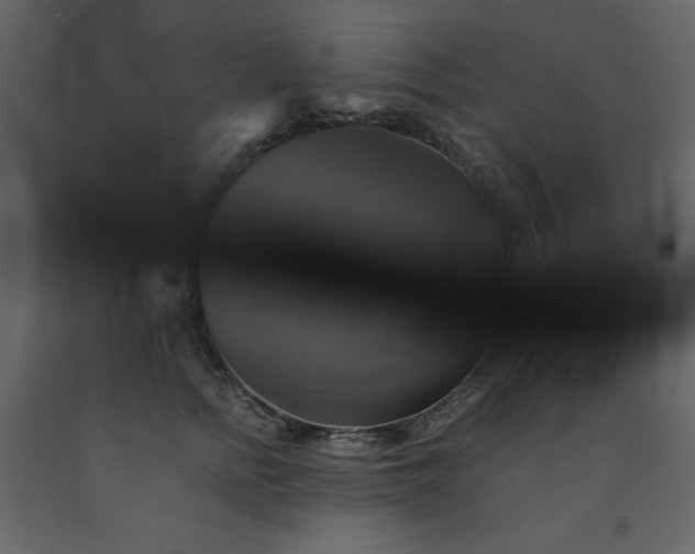 X0000091540758200708241733
