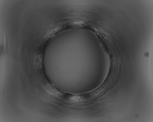 X0000091540759200708241733