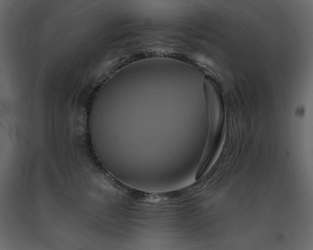X0000091540760200708241733