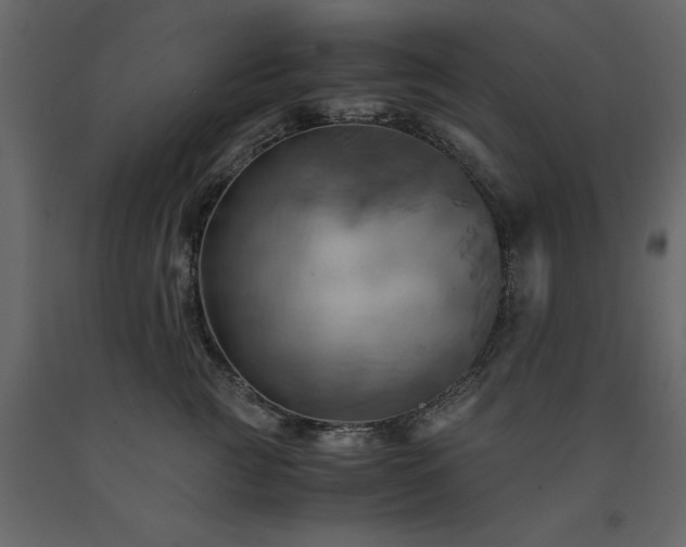X0000091540761200708241733