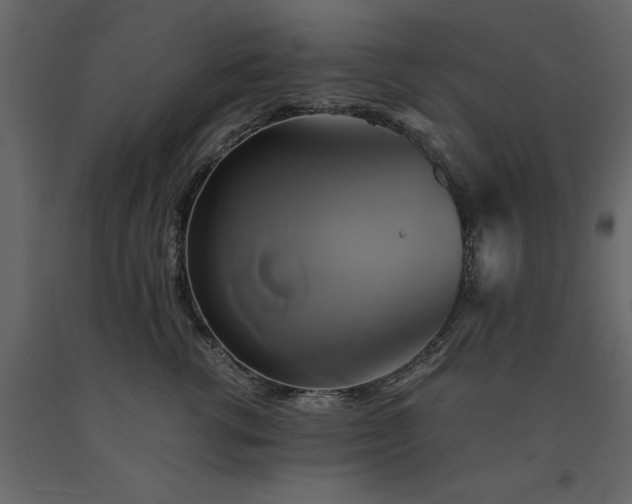 X0000091540762200708241733
