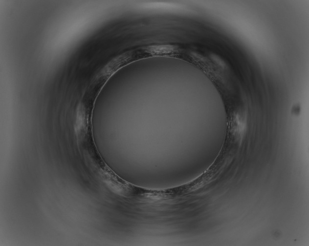 X0000091540763200708241733