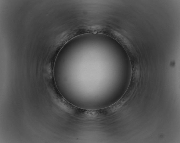X0000091540764200708241733