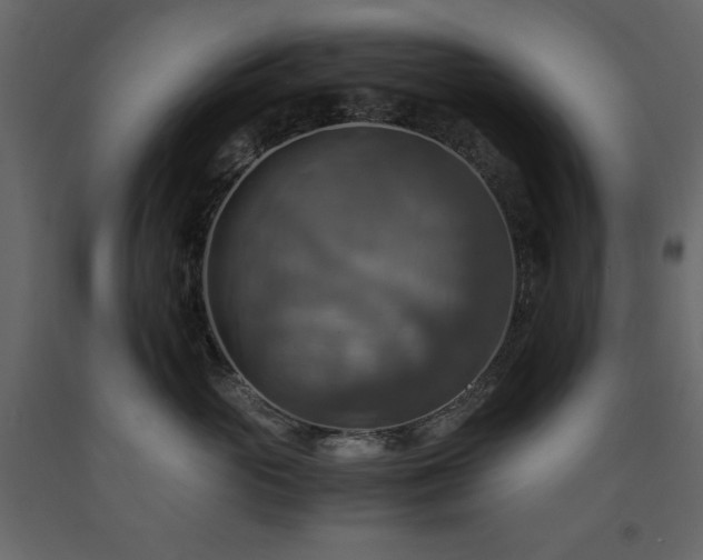 X0000091540765200708241733