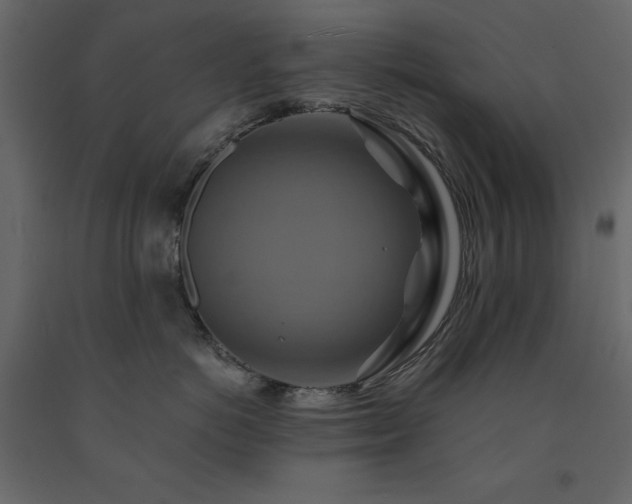 X0000091540766200708241733