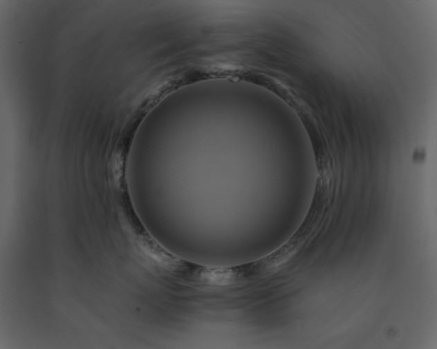 X0000091540767200708241733