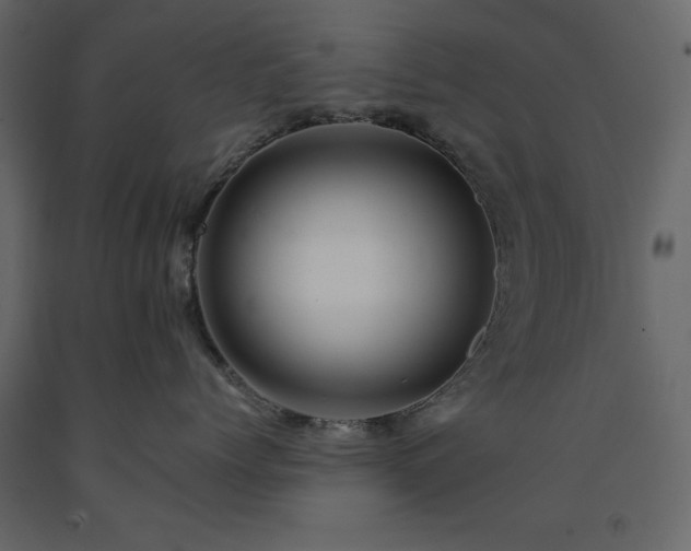 X0000091540768200708241733