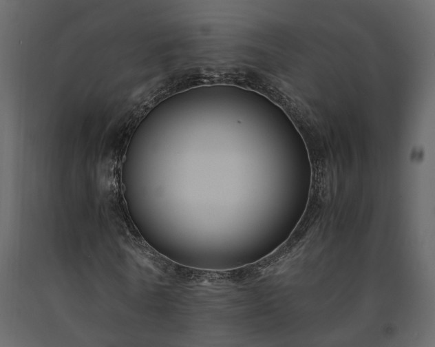 X0000091540770200708241733