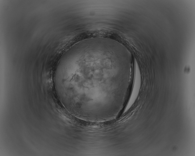 X0000091540771200708241733