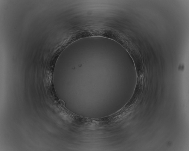 X0000091540772200708241733