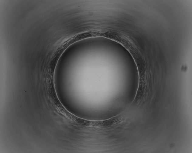 X0000091540773200708241733