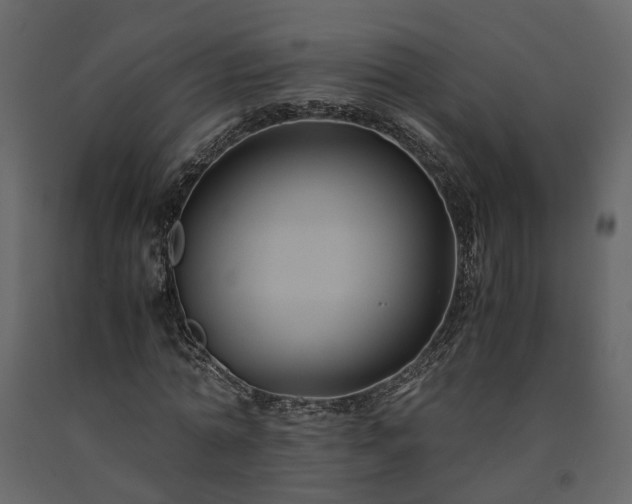 X0000091540774200708241733