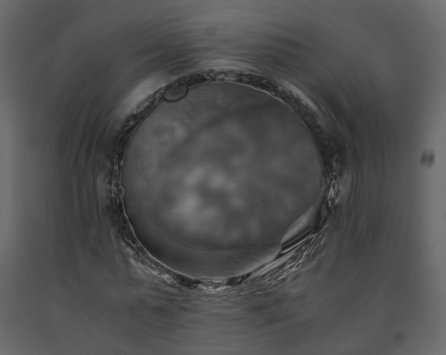 X0000091540775200708241733