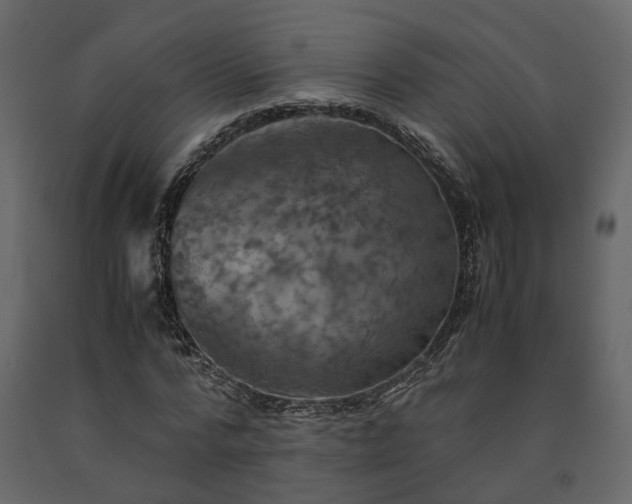 X0000091540776200708241733