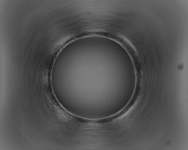 X0000091540777200708241733