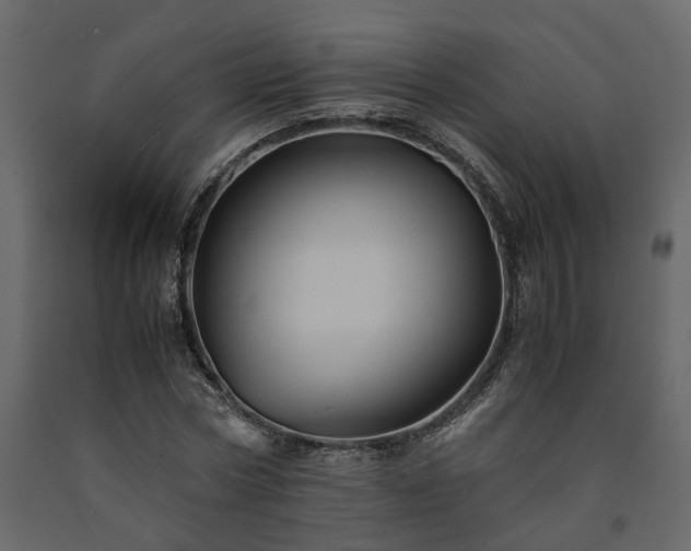 X0000091540778200708241733