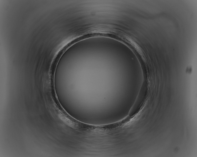 X0000091540779200708241733