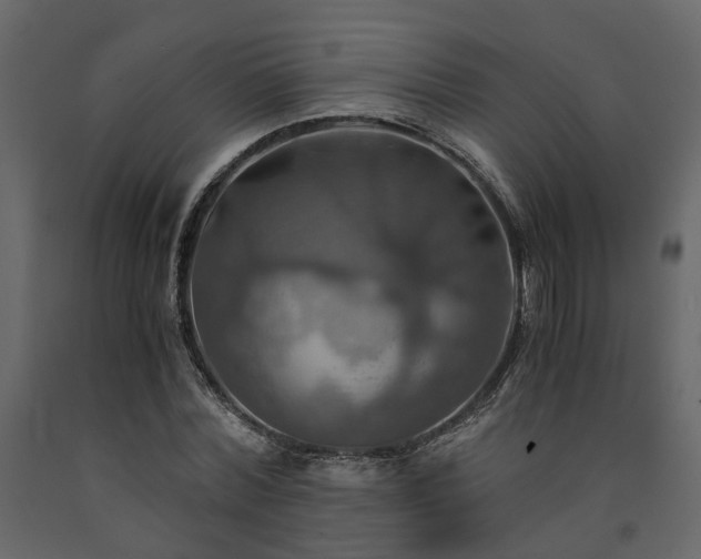 X0000091540780200708241733