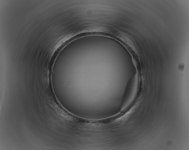 X0000091540781200708241733