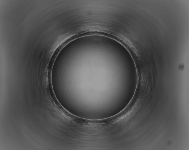 X0000091540782200708241733