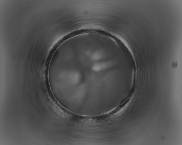 X0000091540783200708241733