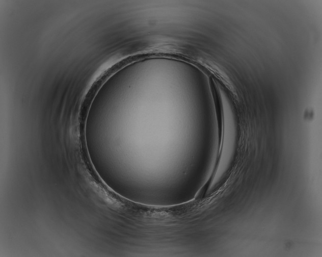 X0000091540784200708241733