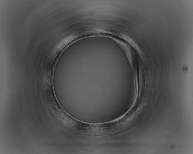 X0000091540785200708241733