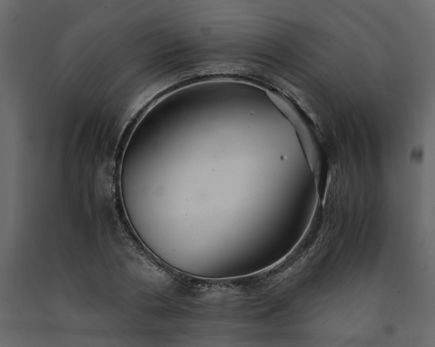 X0000091540786200708241733