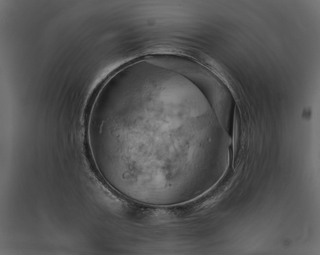 X0000091540787200708241733