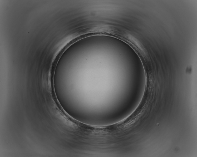 X0000091540788200708241733