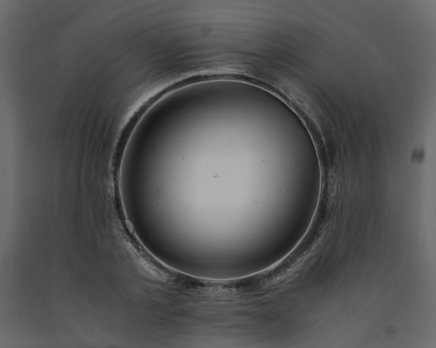 X0000091540789200708241733