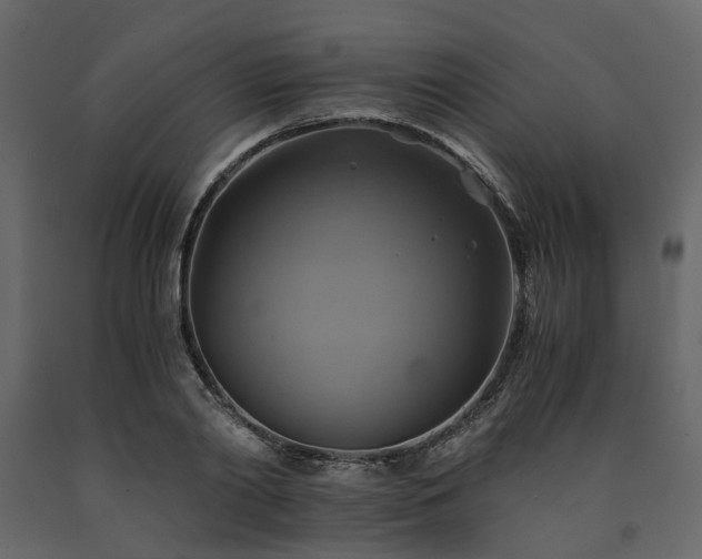 X0000091540790200708241733