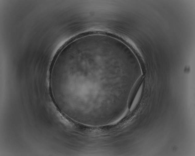 X0000091540791200708241733