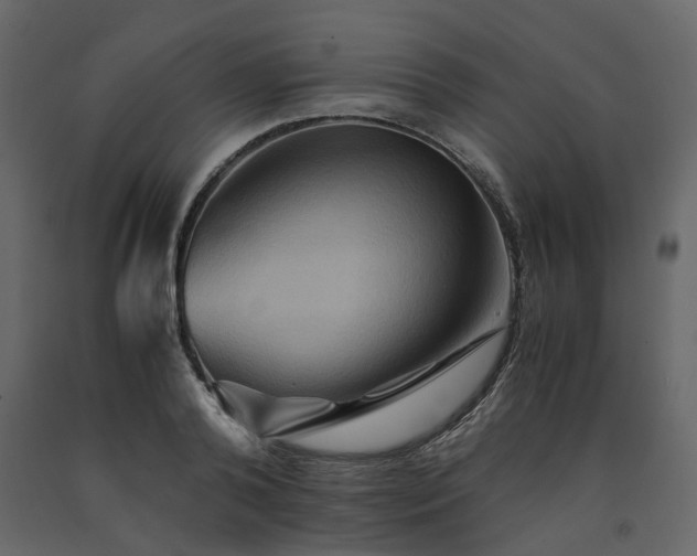 X0000091540792200708241733