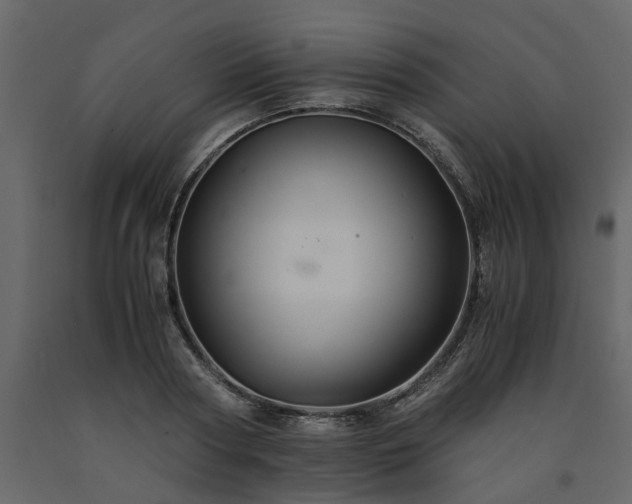 X0000091540794200708241733
