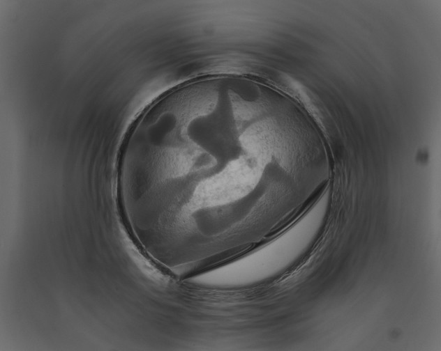 X0000091540795200708241733
