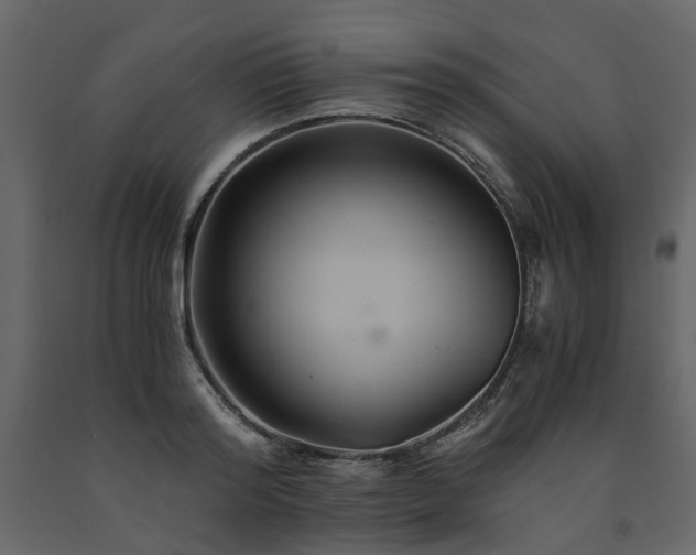 X0000091540796200708241732