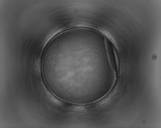 X0000091540798200708241732