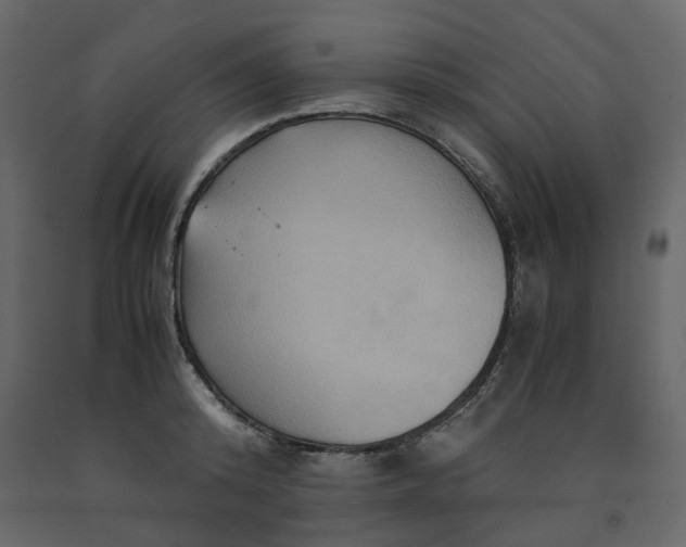 X0000091540800200708241732
