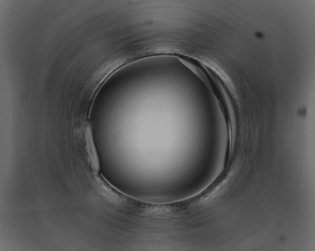 X0000091540801200708241732