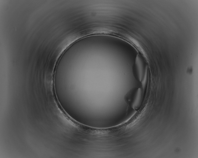 X0000091540802200708241732