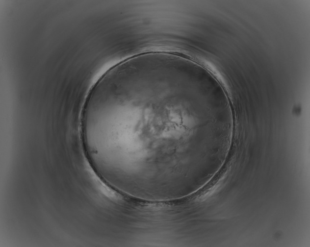 X0000091540803200708241732
