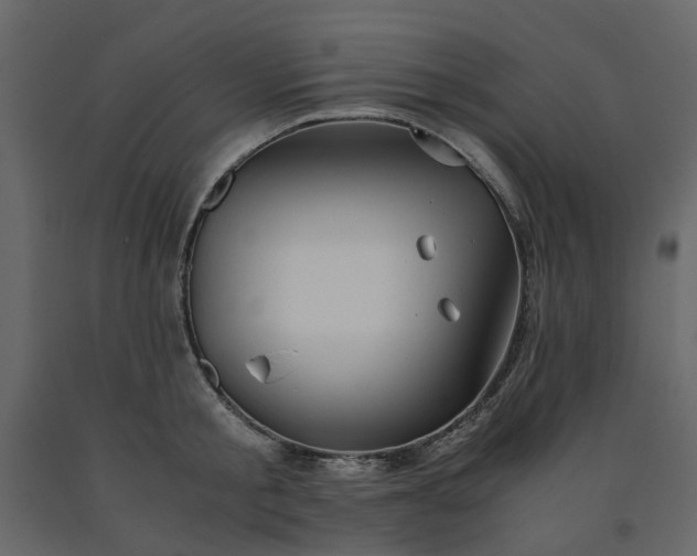 X0000091540805200708241732