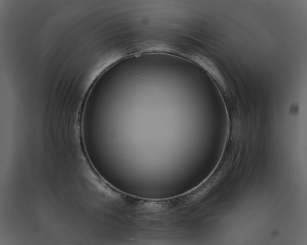 X0000091540806200708241732